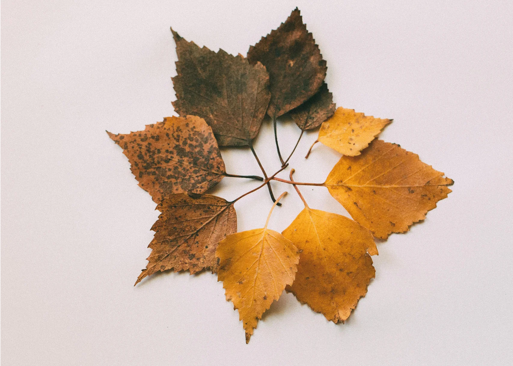Trends That Inspire, Not Overwhelm