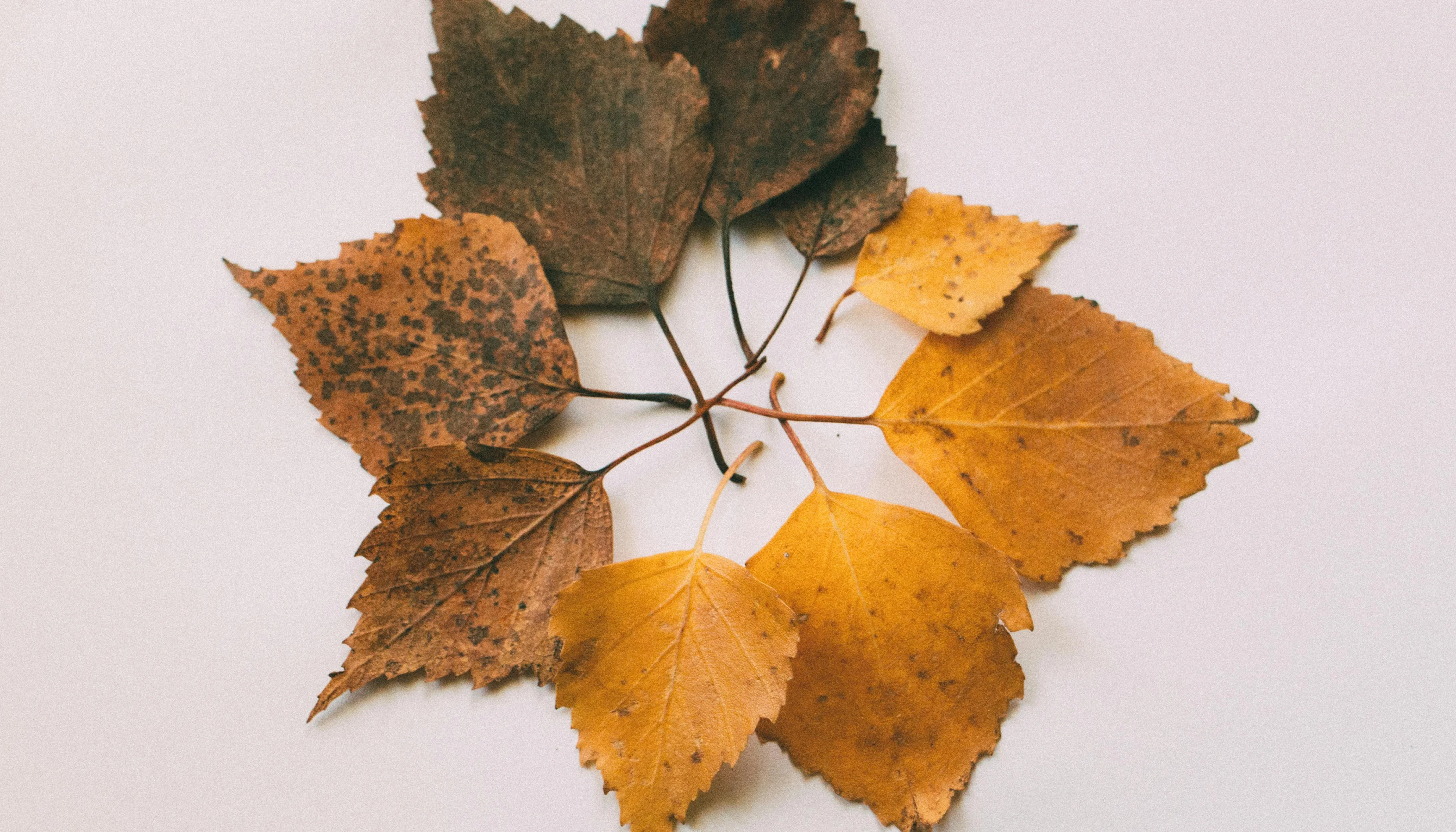 Trends That Inspire, Not Overwhelm